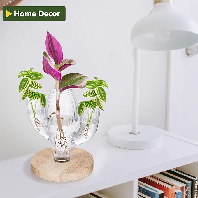 Plant Propagation Stations, Unique Cactus-Shaped Plant Propagating Vase, 3 Independent Areas for Various Plants, Gardening & Housewarming Gifts for Plant Lovers, Home or Office Decor
