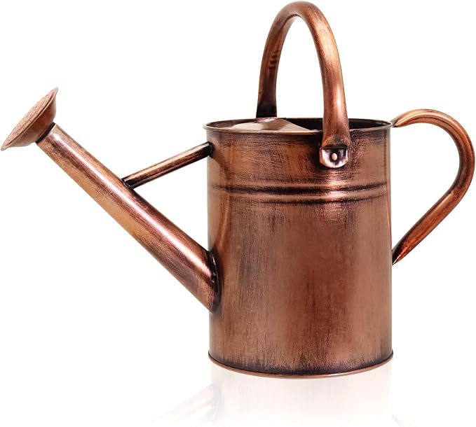 Metal Watering Can with Removable Spout, Galvanized Watering Can, Perfect for Indoor Use and for Outdoor Use (1 Gallaon, Metal)
