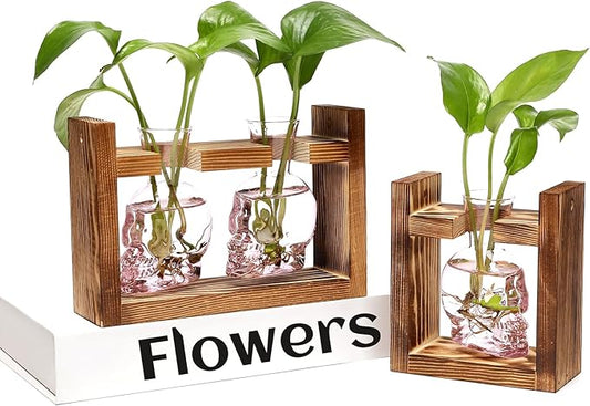 2+1 Plant Terrarium Plant Propagation Station Gifts for Father Halloween Skull Home Office Decor with Wooden Stand