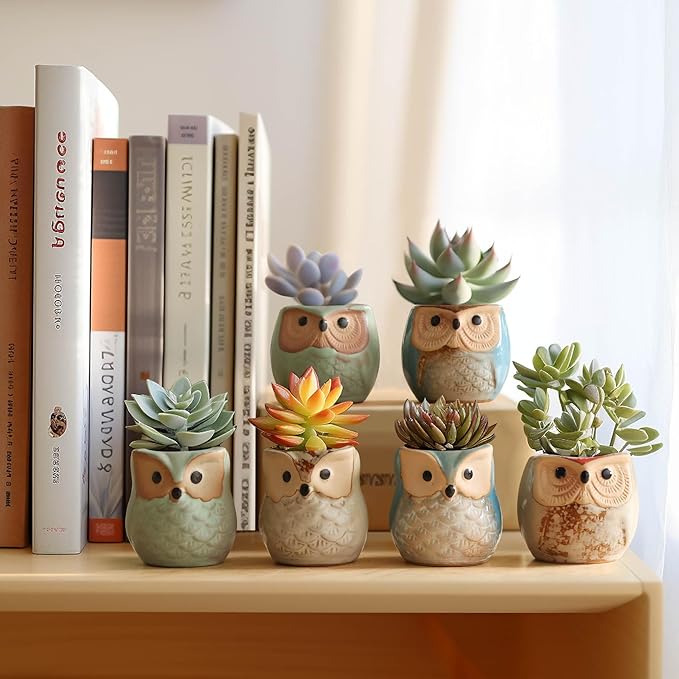 T4U 2.5 Inch Owl Ceramic Succulent Planter Pots with Drainage Hole Set of 6, Mini Cute Flower Pots Tiny Plant Holder Container Best for Home Office Garden Decoration Owl Gift Ideas