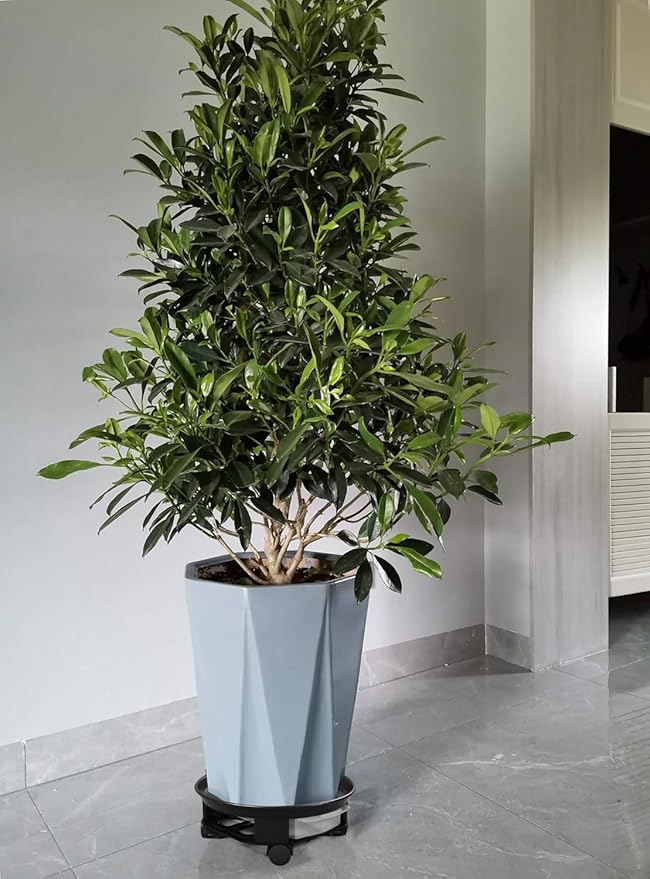 1 Pack 17.7" Black Plant Caddy with Easy Moving Caster Wheels and a Water Container Round Movable Planter Dolly Trolley Tray Pallet Outdoor Indoor Tree Flower Stand Planter