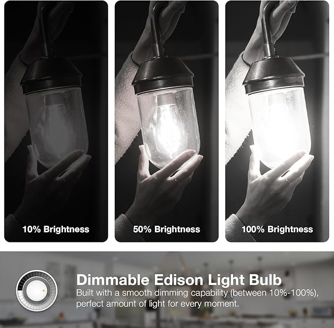 DAYBETTER 6 Pack Vintage LED Edison Bulbs, E26 Led Bulb 60W Equivalent, Dimmable Led Light Bulbs, High Brightness 800 LM Daylight White 5000K, ST58 Antique Filament Bulbs, Clear Glass Style for Home