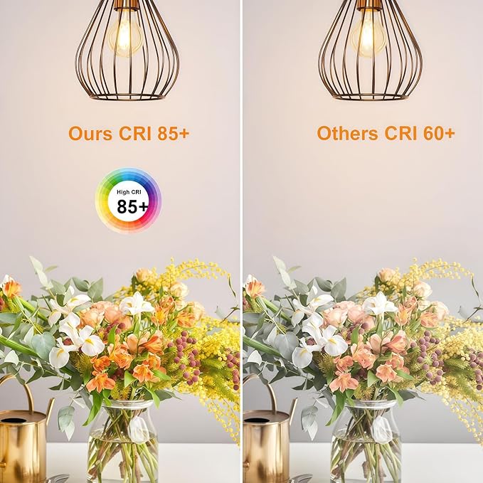 Vinaco A19 Dimmable LED Bulb 2700K Warm White, 4 PCS A19 Edison Bulb, 8W Equal 60W Clear Light Bulbs, Long Lasting 806LM Edison Bulbs E26 LED CRI85+ for Living Room, Chandelier