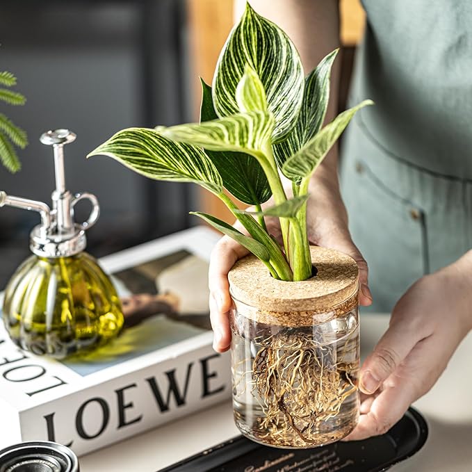 Glass Propagation Stations for Plants -Desktop Flower Vases,Propagation Flower Vases Set – 2 Sizes Planter Propagated Jars ,for Plant Cuttings,for Living Room, Bedroom Decoration,Home,Office Decor(8)