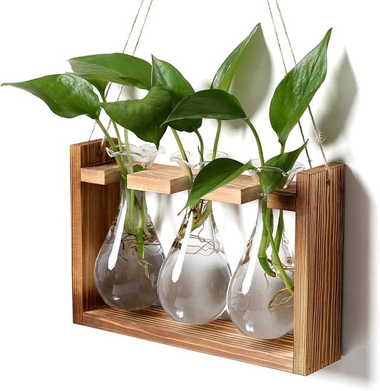 Glass Plant Propagation Station Bulb Planter Vase with Wooden Stand Birthday Gifts for Women Mom Plant Lovers Office Home Decoration