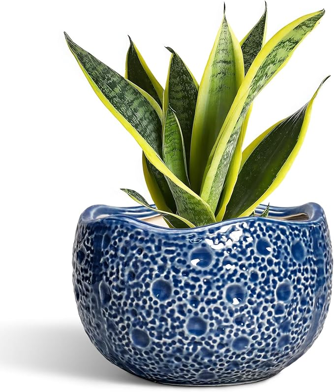 Ceramic Pots for Plants - 8 Inch Round Planter with Drainage Hole, Round Decorative Plant Pots for Indoor Outdoor, Modern Unique Flower Pot, House Living Room Decor, Home Gifts, Blue
