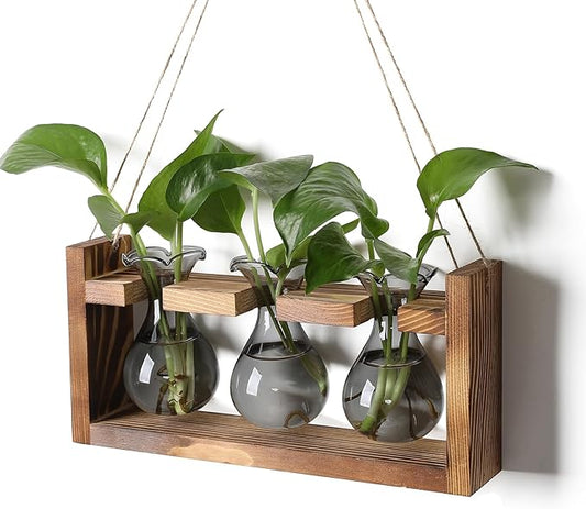 Plant Propagation Station Plant Terrarium Unique Birthday Gifts for Women Home Office Decor Planter with Wooden Stand - 3 Bulb Glass Vase