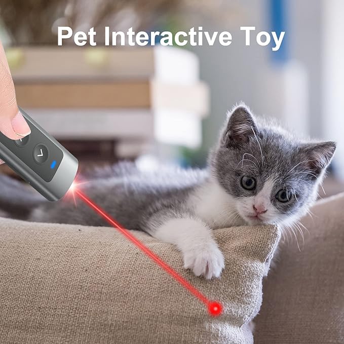 Metallic Presentation Clicker Presenter Remote - Rechargeable Wireless Presenter with Red Laser Pointer, 2-in-1 USB C Clicker for PowerPoint & Google Slides, Compatible with MacBook/Computer/Laptop