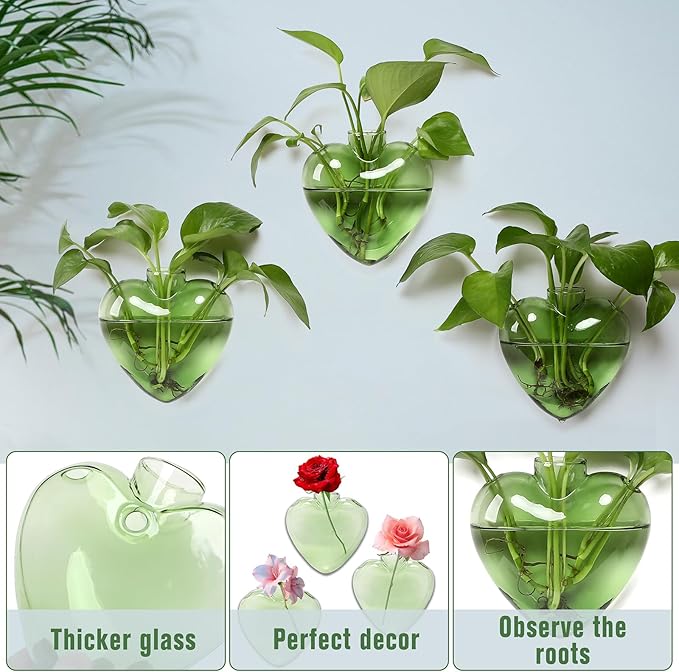 Wall Hanging Planter Propagation Station for Indoor Plants Glass Vase Air Plant Holder for Bathroom Living Room