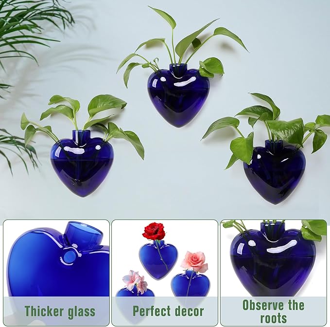 Wall Hanging Planter Propagation Station for Indoor Plants Glass Vase Air Plant Holder for Bathroom Living Room