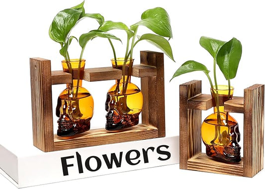 2+1 Plant Terrarium Plant Propagation Station Gifts for Father Halloween Skull Home Office Decor with Wooden Stand