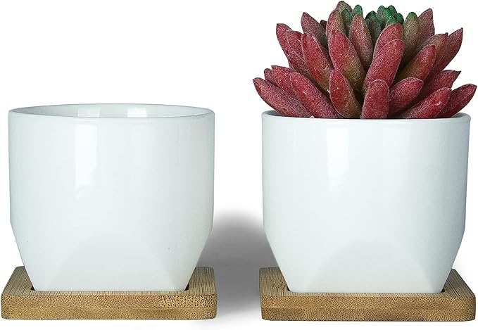 ARTKETTY Succulent Pots - 3 Inch Small Succulent Planter Pot with Drainage Trays Set of 6, Ceramic Planters for Indoor Plants Cactus Flower Plant for Home Office