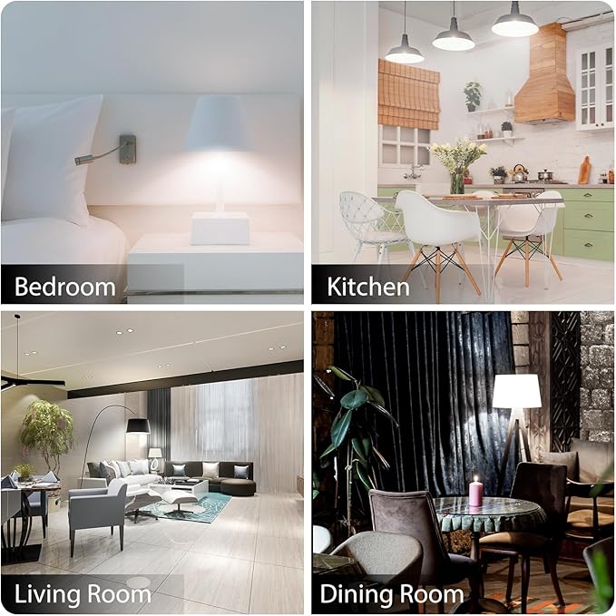 dalattin 12 Pack LED Bulbs Daylight White 5000K, 100 Watt Equivalent A19 Standard Bulbs, E26 Base, 1500 LM, Efficient 15W Energy Saving, Non-Dimmable, 80+ CRI, 120V, UL Listed, for Living Room, Office