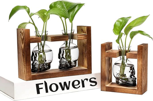 2+1 Plant Terrarium Plant Propagation Station Gifts for Father Halloween Skull Home Office Decor with Wooden Stand