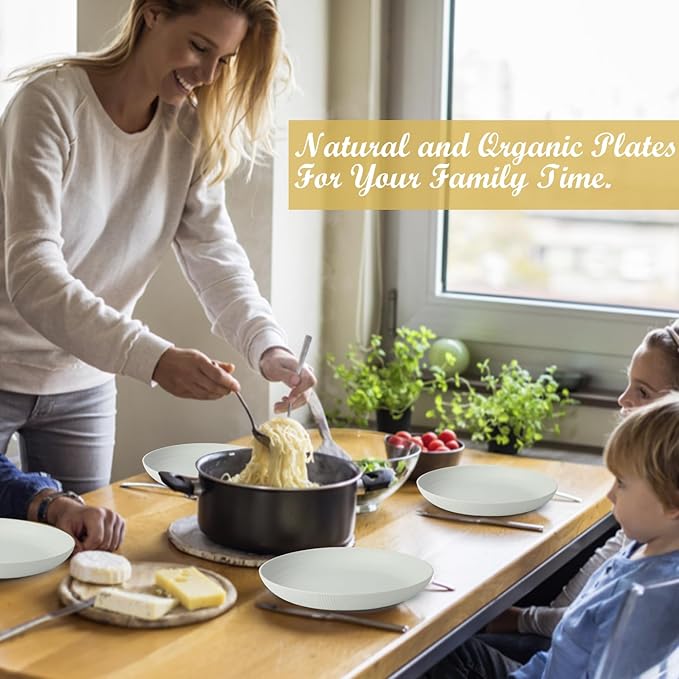 Wheat Straw Plates - 9 Inch Unbreakable Dinner Plates Set of 8 - Dishwasher & Microwave Safe Plastic Plates Reusable for kitchen and camping (light grey)