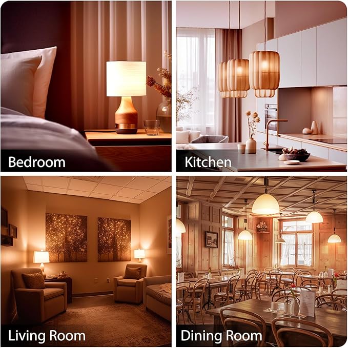 dalattin 24 Pack LED Bulbs Soft Warm 2700K, 100 Watt Equivalent A19 Standard Bulbs, E26 Base, 1500 LM, Efficient 15W Energy Saving, Non-Dimmable, 80+ CRI, 120V, UL Listed, for Living Room, Office