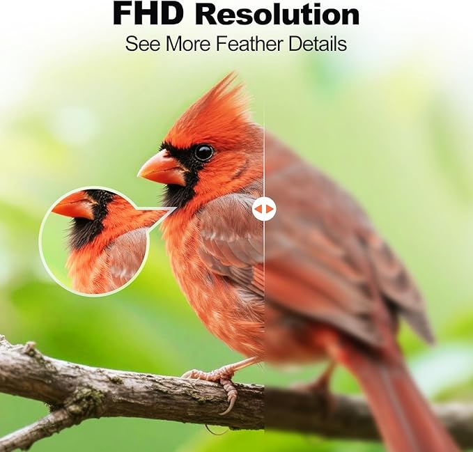 Bird Feeder with Camera,AI Identify Birds Species,FHD WiFi Outdoor Smart Bird Feeder Camera with Solar Powered,Real-Time Notice,Auto Record,IP65 Weatherproof Birds House with Cam,Ideal Gift for Family