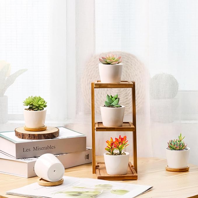 T4U 2.5 Inch Mini White Succulent Planter Pots with Bamboo Tray Round Set of 6, Tiny Ceramic Succulent Air Plant Flower Pots Cactus Faux Plants Containers, Gifts for Plant Lover, Home and Office Decor
