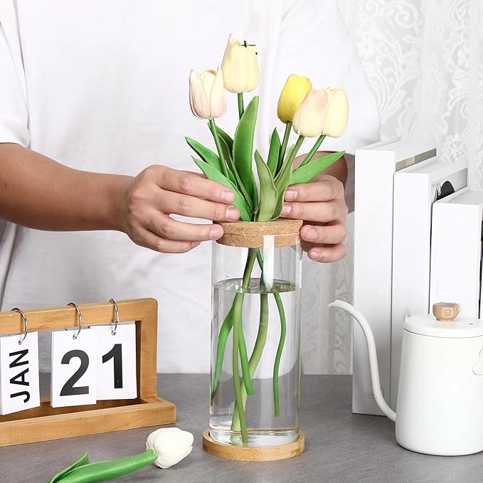 Maxcheck 3 Pcs 3 Sizes Plant Propagation Station Separated Glass Plant Terrarium Water Hydroponic Planter Holder with Lid and Wooden Stand Propagation Vase Pot for Home Indoor Office(Various Sizes)