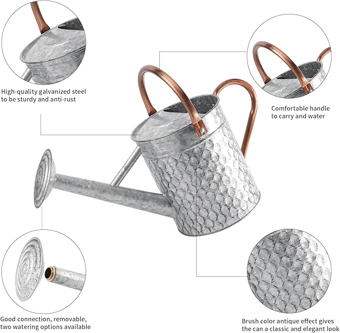 1 Gallon Metal Watering Can for Outdoor Indoor Plants, Galvanized Watering Can with Removable Spray Spout, Ideal for Garden Watering
