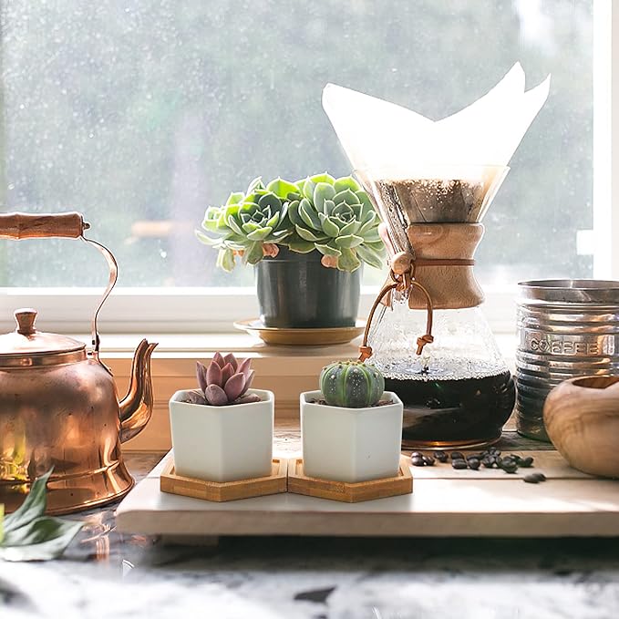 T4U Small White Succulent Planter Pots with Bamboo Tray Hexagon Set of 6, Geometric Ceramic Cactus Plant Holder, Gifts for Plant Lover Gardener Women, Home Office Table Desk Decoration