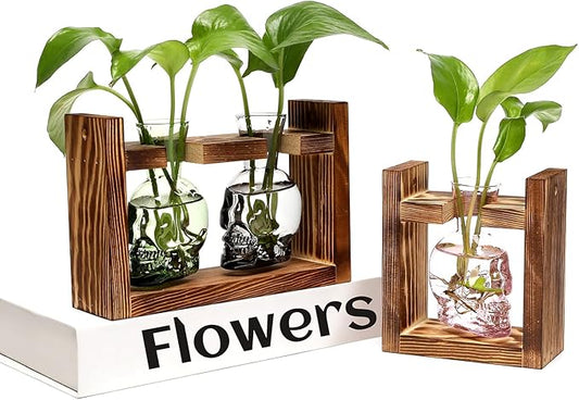 2+1 Plant Terrarium Plant Propagation Station Gifts for Father Halloween Skull Home Office Decor with Wooden Stand
