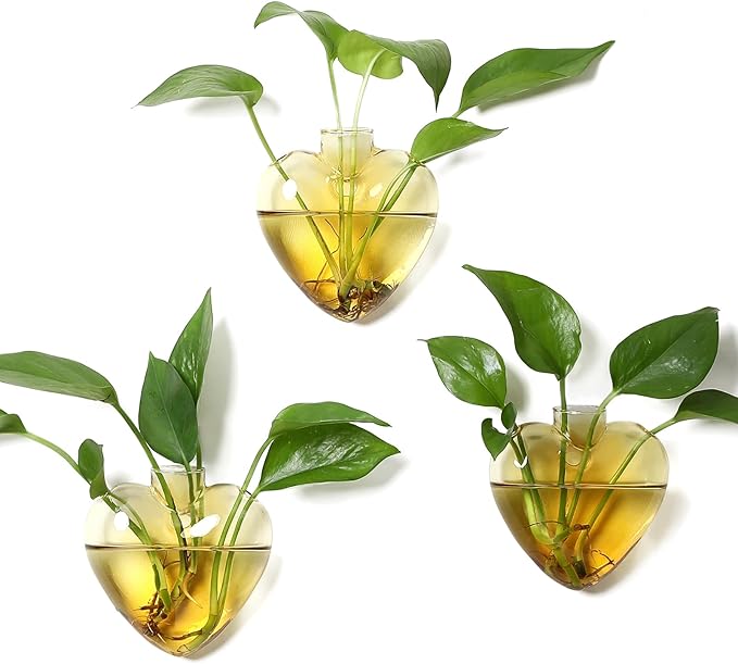 Wall Hanging Planter Propagation Station for Indoor Plants Glass Vase Air Plant Holder for Bathroom Living Room