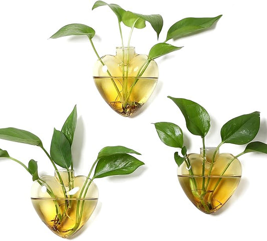 Wall Hanging Planter Propagation Station for Indoor Plants Glass Vase Air Plant Holder for Bathroom Living Room