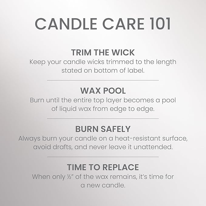 Yankee Candle Large Jar Scented Candle with up to 150 Hour Burn Time, Premium Plant Wax Blend for Consistent Burn, 22 oz Jar Candle with Room Filling Fragrance, Silver Birch