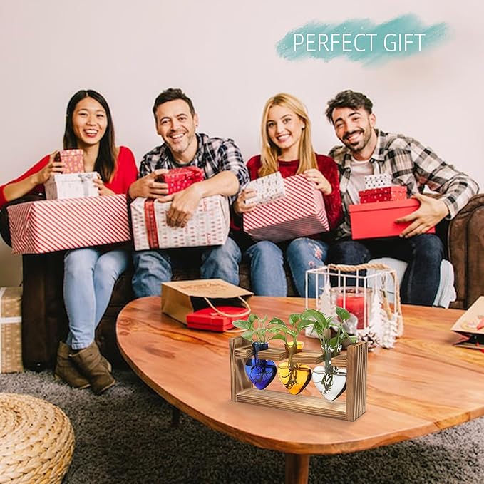 Plant Terrarium Propagation Stations Hydroponics Home Garden Decoration Gift for Women with Wooden Stand Heart Shaped Colored Glass Vase