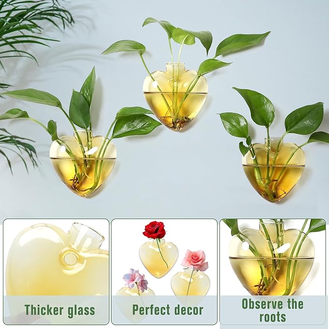 Wall Hanging Planter Propagation Station for Indoor Plants Glass Vase Air Plant Holder for Bathroom Living Room