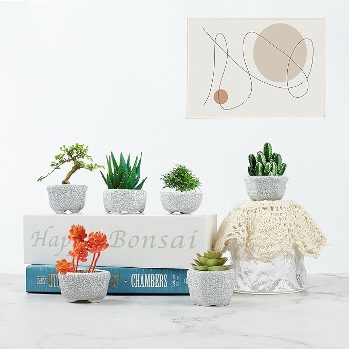 Bonsai Planter 1.8 inch (4.5cm) Mini Succulent Glazed Pots Set of 18 Gray White