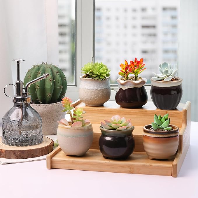 T4U Mini Ceramic Succulent Pots with Drainage - Set of 6, Tiny Pots for Plants, Home and Office Decor, Plant Lover Gifts for Women