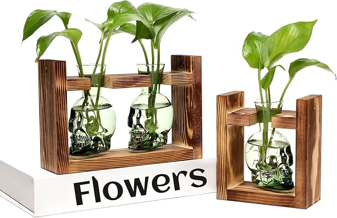 2+1 Plant Terrarium Plant Propagation Station Gifts for Father Halloween Skull Home Office Decor with Wooden Stand