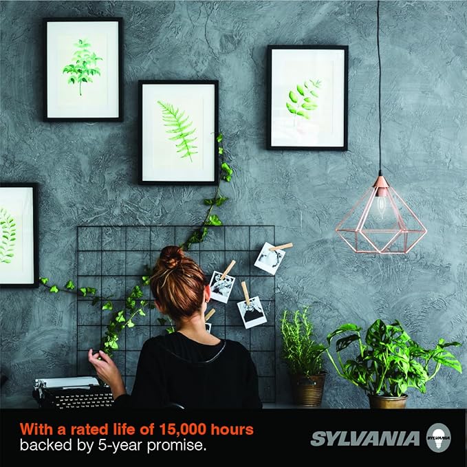 Sylvania B10 Clear LED White Filament Bulb, 6W, Dimmable, 650 LMS, Candelabra Base, 5000K, Daylight - 2 Pack (42259)