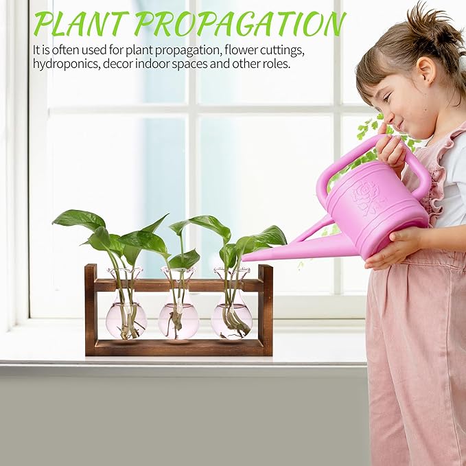 Plant Propagation Station Plant Terrarium Unique Birthday Gifts for Women Home Office Decor Planter with Wooden Stand - 3 Bulb Glass Vase