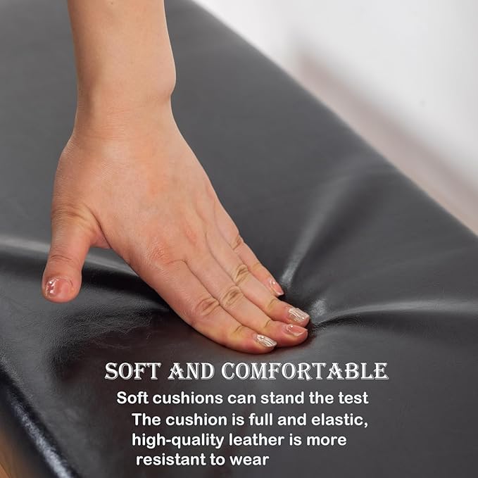 latifolia Solid Wood Bench, Entryway Shoe Bench with Cushion, 2 Tier Shoe Storage Organizer for Hallway, Living Room(Black,21.65''L)