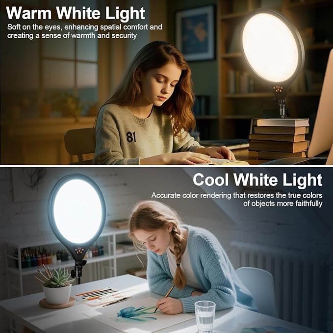 Ring Light with Stand and Phone Holder, 14" Professional LED Camera Lighting for Video Recording, Adjustable Height Content Creator Essentials Kit, Selfie Ring Light for TikTok YouTube