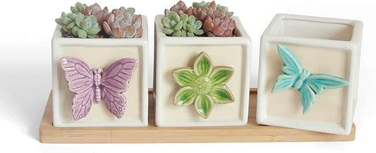 Succulent Plant pots with Tray: Small White Succulent Square Plant pots for Home Office Housewarming - 3.1 inch Geometric Cactus Holder with Drainage and Tray-Suitable for Desktop Storage