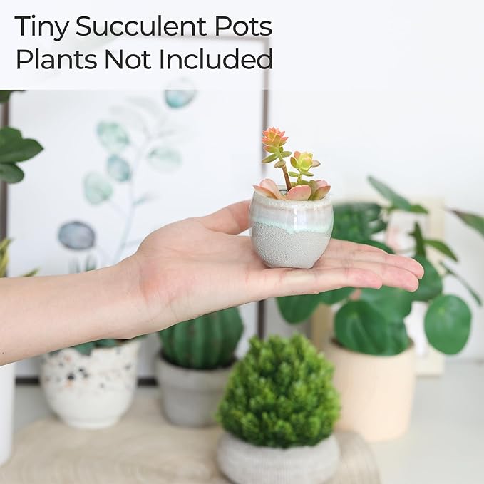 T4U Mini Ceramic Succulent Pots with Drainage - Set of 6, Tiny Pots for Plants, Home and Office Decor, Plant Lover Gifts for Women