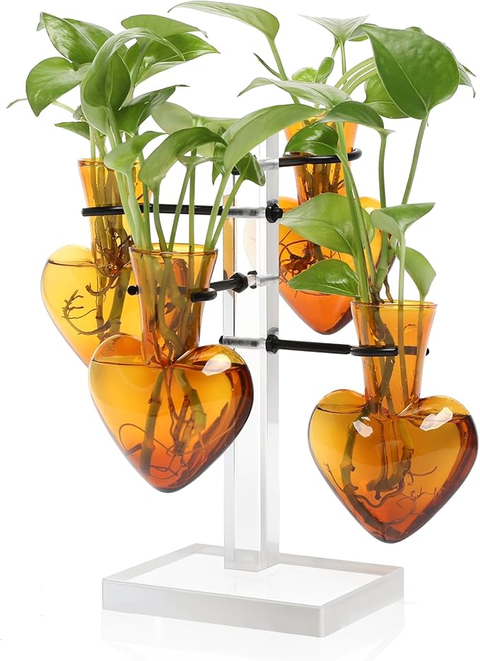 Clear Plants Propagation Stations Terrarium Kit Birthday Gift for Women for Indoor Home Office Decor Acrylic Plant Accessories - 4 Love Hear Vase