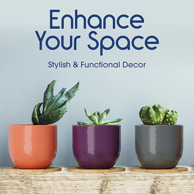 Mini Succulent Plant Pots – 2.5" Ceramic Planters with Bamboo Coasters, Set of 5 | Small Indoor Pot Set, Sunrise Color Theme, Drainage Hole, Decorative Gift Box