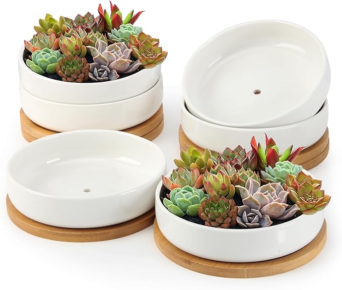 ZOUTOG Succulent Pots,6 Inch Succulent Planters with Drainage and Tray,White Ceramic Planters for Indoor Plants,Round Shallow Flower Plant Pots,6 Pack