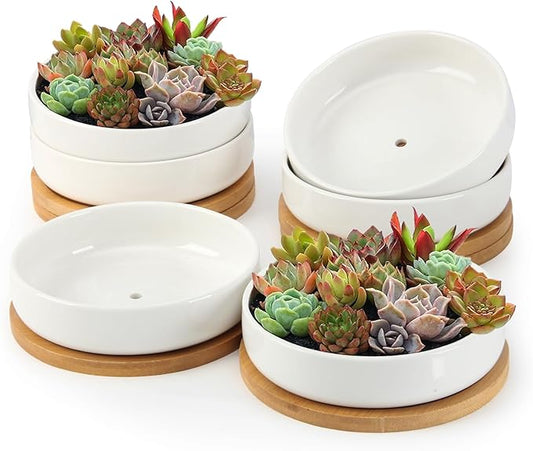 ZOUTOG Succulent Pots,6 Inch Succulent Planters with Drainage and Tray,White Ceramic Planters for Indoor Plants,Round Shallow Flower Plant Pots,6 Pack