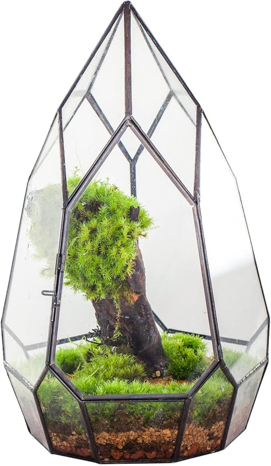 NCYP Modern Black Glass Geometric Terrarium Container with Door - Balcony Planter DIY Display Flower Pot for Succulent Fern - Tabletop Miniature Botanical Fairy Garden (No Plants)