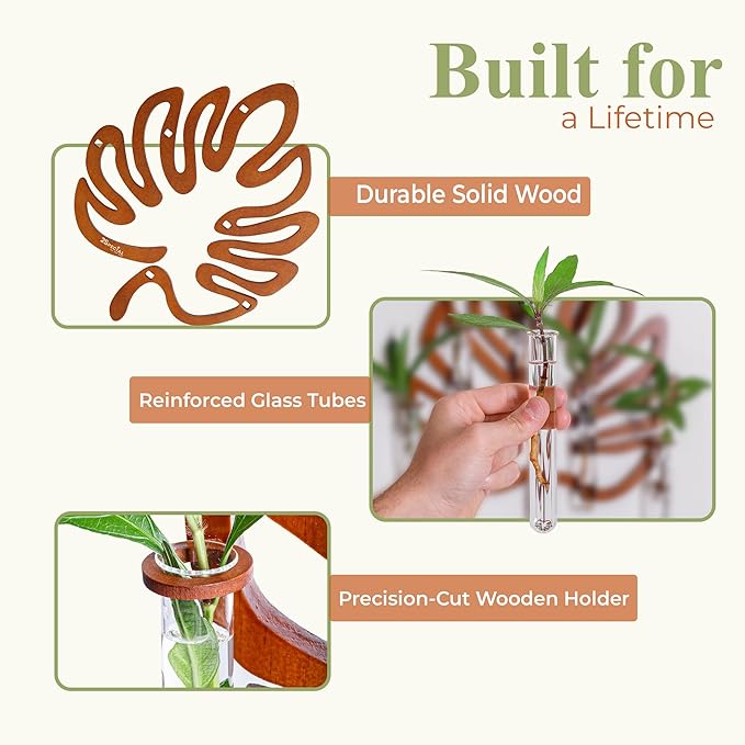 2Special Propagation Stations | Hanging Propagation Station and Wall Planters for Indoor Plants | Wooden Wall Vase, 6+1 Glass Propagation Vases for Plants | Leaf Shape Plant Propagation Station