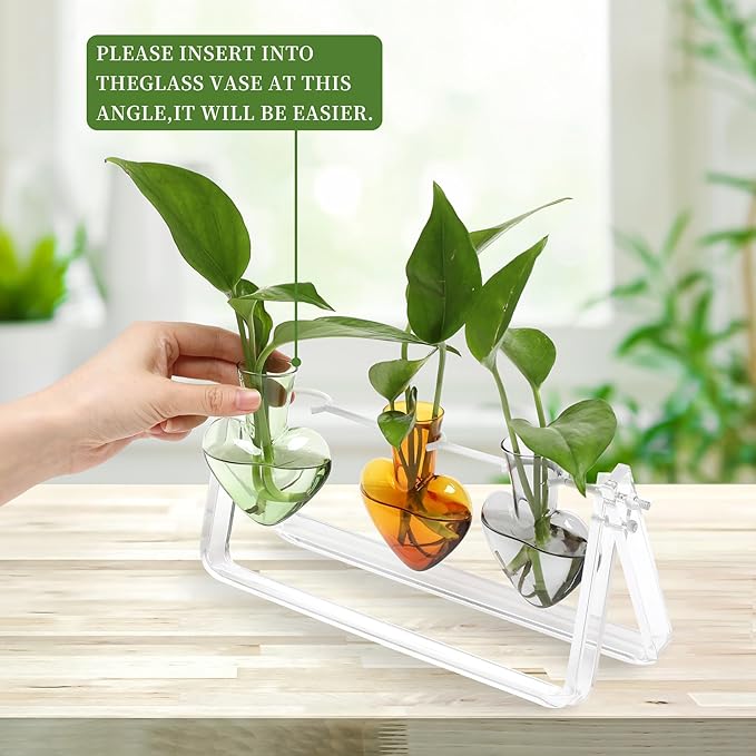 Clear Plant Terrarium Propagation Stations with Acrylic Stand Birthday Gifts for Women Office Home Decor