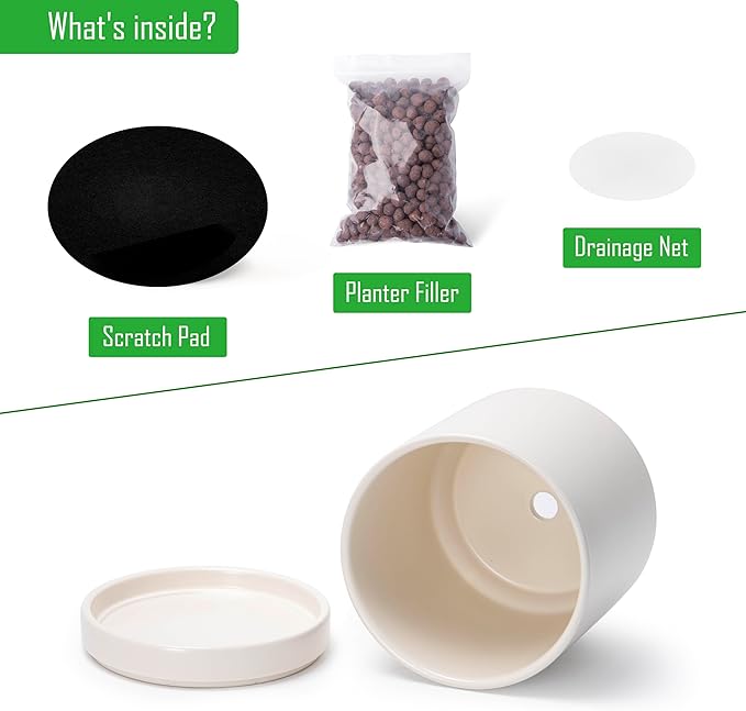 D'vine Dev Set of 2 Plants Pots, 8.2 Inch Ceramic Planter Pot for Plants with Drainage Hole and Saucer, Oatmeal, 94-V-D-8