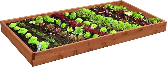Red Cedar Wood Raised Vegetable Garden Bed - Amish Made in USA (5.5" Raised Bed, Cedar Stain)