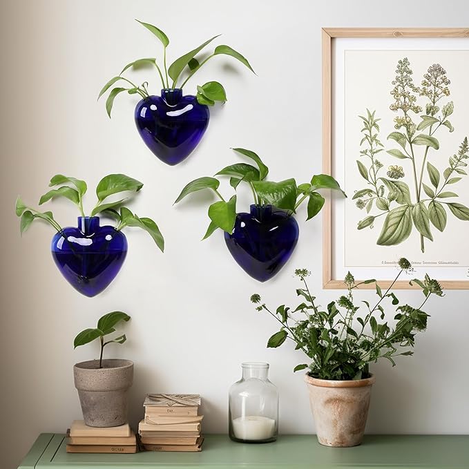 Wall Hanging Planter Propagation Station for Indoor Plants Glass Vase Air Plant Holder for Bathroom Living Room